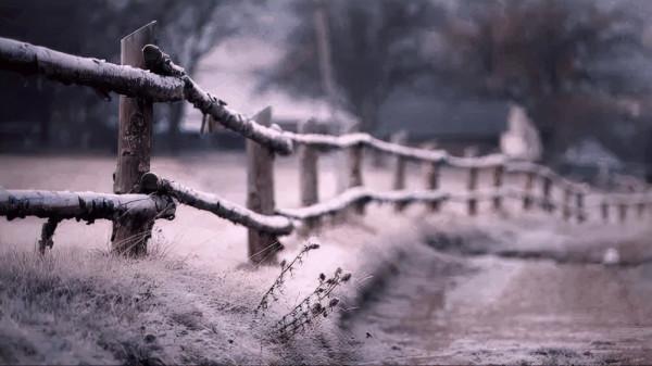 這些深情的詩句,每一句都值得你銘記 這些深情的詩句,每一句都值得你銘記