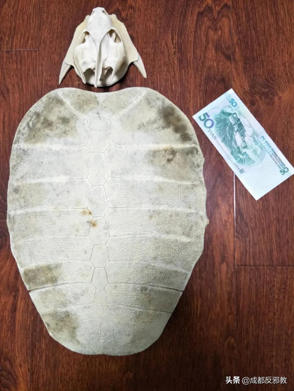 中國小夥逛非洲菜市場的真實感受:食物種類齊全、料理無奇不有 中國小夥逛非洲菜市場的真實感受:食物種類齊全、料理無奇不有