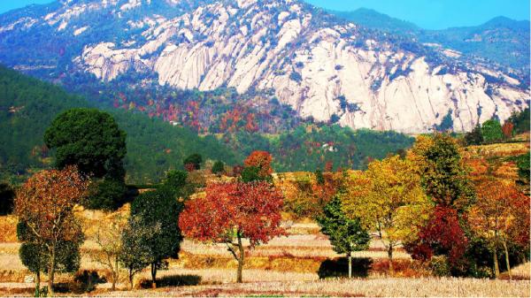 承包國慶假期！贛湘鄂聯合釋出30條精品“村遊”線路