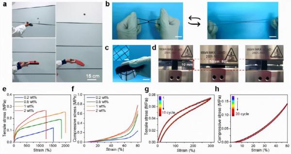 以多層MXene為引發、交聯劑和導電填料,一步設計高彈水凝膠電子 以多層MXene為引發、交聯劑和導電填料,一步設計高彈水凝膠電子