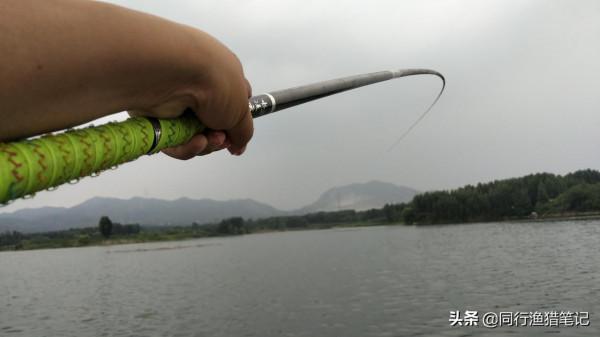 許多人至今仍不相信,採用這種方法可以徹底提升搓餌狀態 許多人至今仍不相信,採用這種方法可以徹底提升搓餌狀態