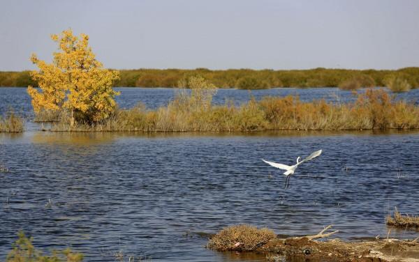 我國愣是從沙漠中挖出個水庫,還是亞洲最大?這在當地卻飽受爭議 我國愣是從沙漠中挖出個水庫,還是亞洲最大?這在當地卻飽受爭議
