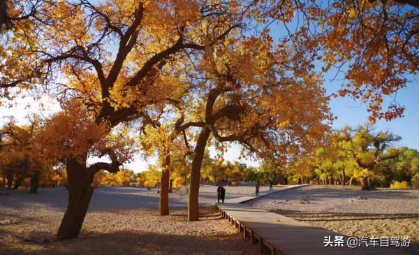 這8處金秋自駕遊線路,總有一款適合你(附線路地圖) 這8處金秋自駕遊線路,總有一款適合你(附線路地圖)