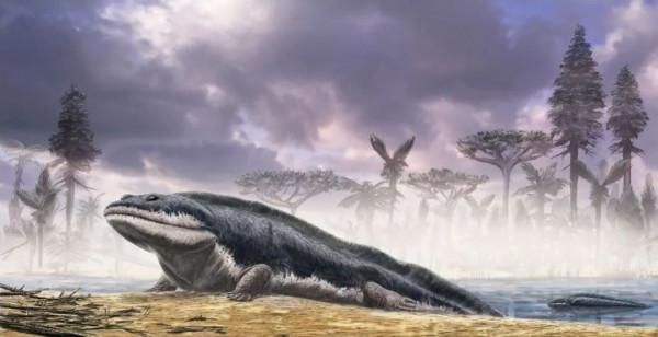 脊椎動物崛起，目標征服陸地——泥盆紀