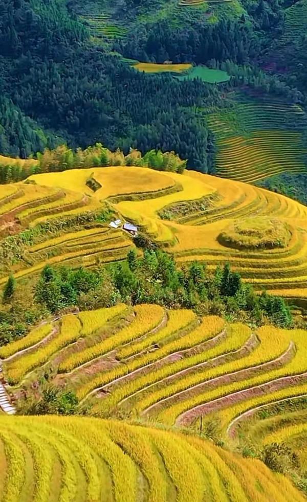 中國風景獨好，何必捨近求遠