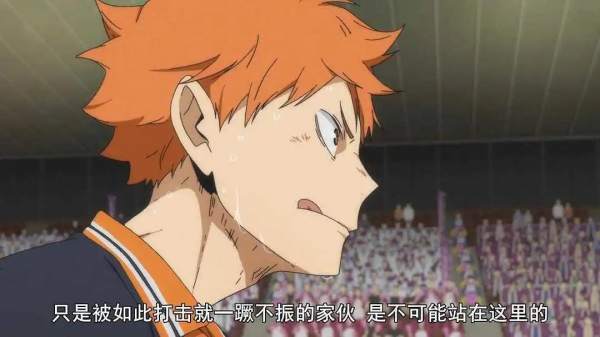 免費分享：排球少年漫畫（64卷版）好看到停不下來