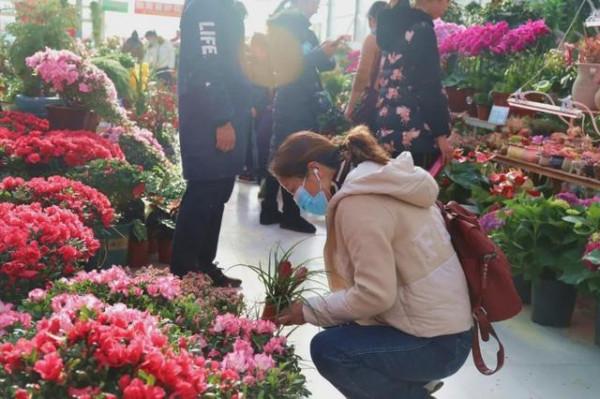 養花時遇到掉葉,長斑,長勢不佳等現象,要查詢原因,及時解決 養花時遇到掉葉,長斑,長勢不佳等現象,要查詢原因,及時解決