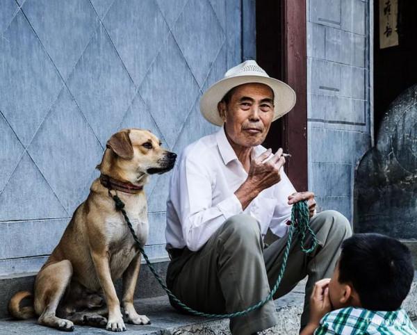 2019年,大黑狗思念主人,每天上山拜墳 2019年,大黑狗思念主人,每天上山拜墳