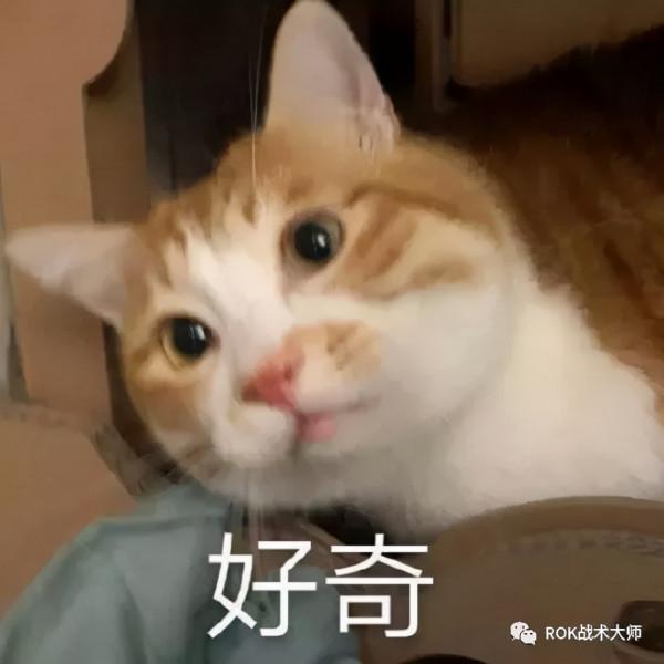 萬國覺醒丨首飾選擇和不同場景的使用