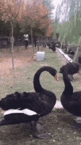 眼力測試！如果你從圖中看到的是一群人，那趕緊去看醫生吧