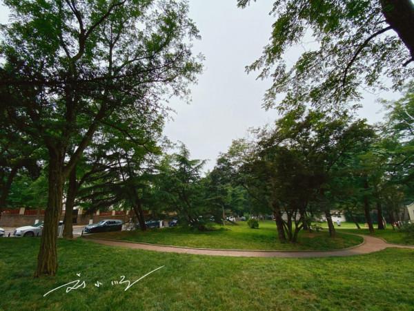 山東青島最著名的“別墅區”,路名都是長城關隘,遊客爭相來打卡 山東青島最著名的“別墅區”,路名都是長城關隘,遊客爭相來打卡