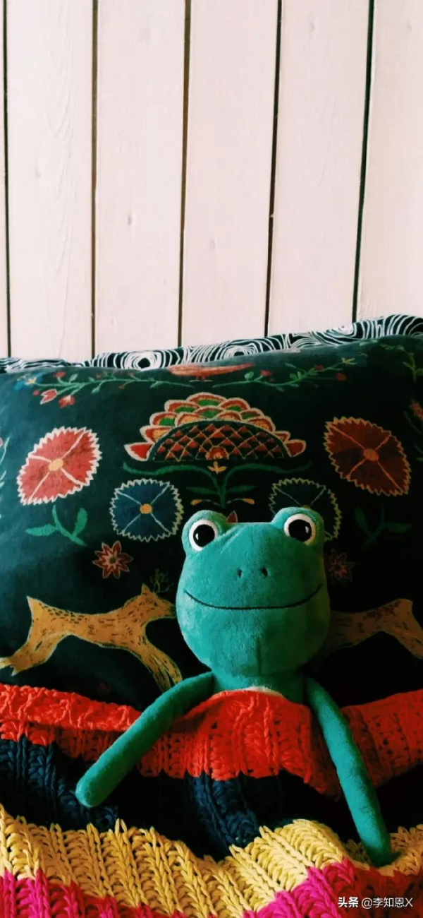 桌布上，我在橋上看風景